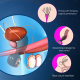 360° Rotation Anal Plug & Prostate Massager