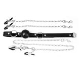 BDSM Gag and Sensation Kit