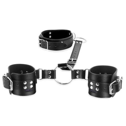 Adjustable Ball Gag with Clamps