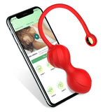 Smart Geisha Kegel Ball Vagina Tightening Exerciser for Adults