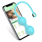 Smart Geisha Kegel Ball Vagina Tightening Exerciser for Adults