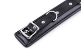 Bondage Collar with Leash