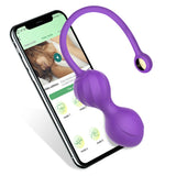 Smart Geisha Kegel Ball Vagina Tightening Exerciser for Adults