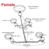3-Piece Metal Collar and Shackle Set
