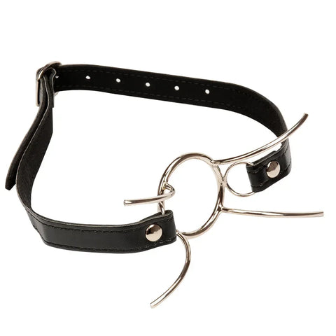 Stainless Steel Ring Gag
