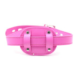 Lockable Harness Mouth Gag