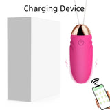 Wireless Bullet Egg Vibrator