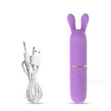 Fast Orgasm Mini Bullet Vibrator Rechargeable Clitoral Stimulator
