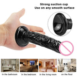 10 Inch Realistic Dildo with Powerful Suction