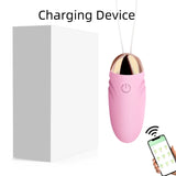 Wireless Bullet Egg Vibrator